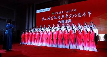 喜迎十九大 謳歌新時代——第二屆安徽省老年文化藝術(shù)節(jié)合唱大賽圓滿落幕